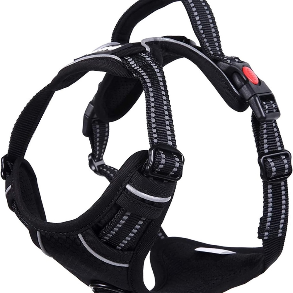 Pina no pull adjustable dog collar.  For large dog only. See diagram.